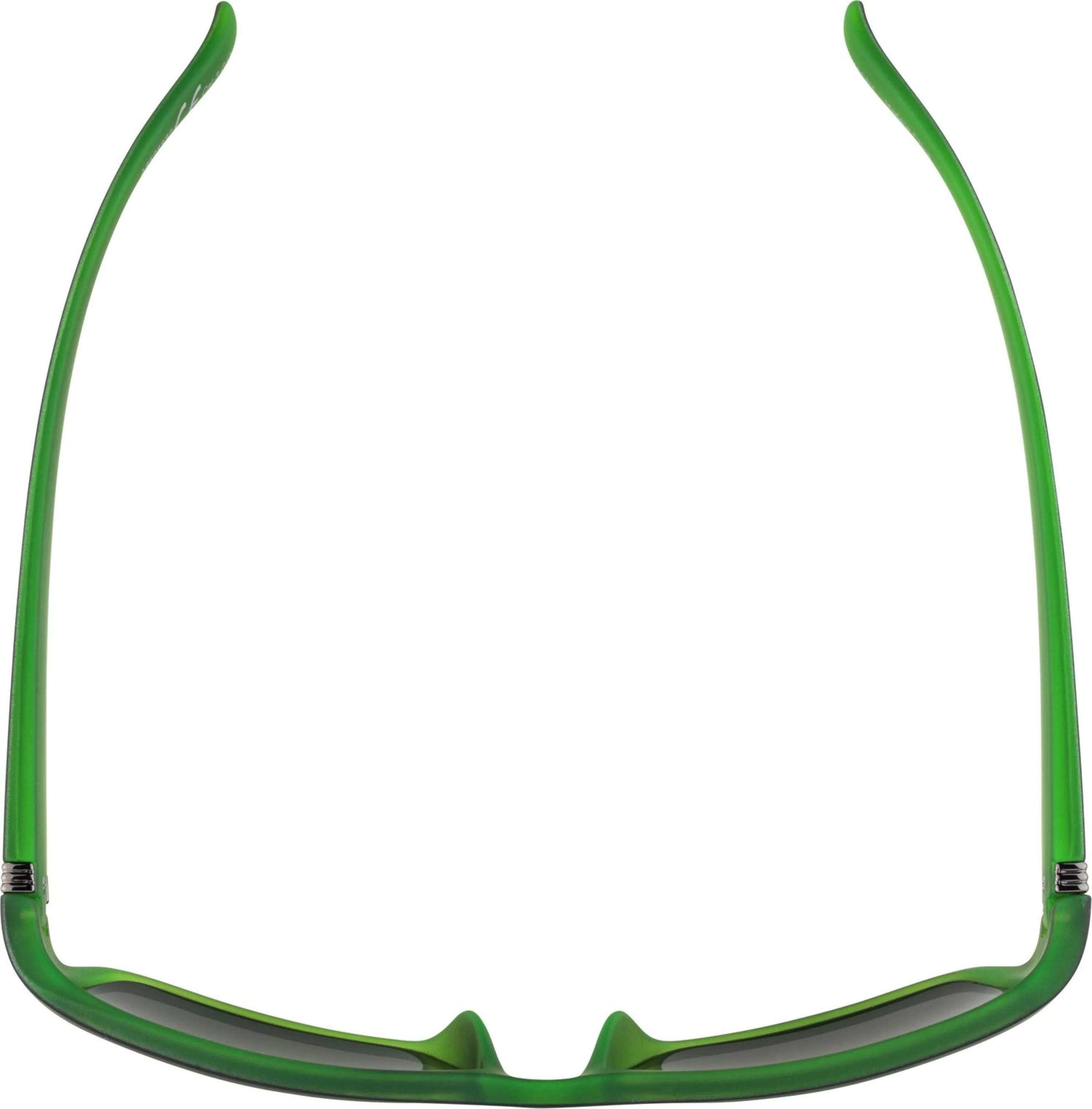 Alpina Kacey Brille schwarz/grün - Image 3