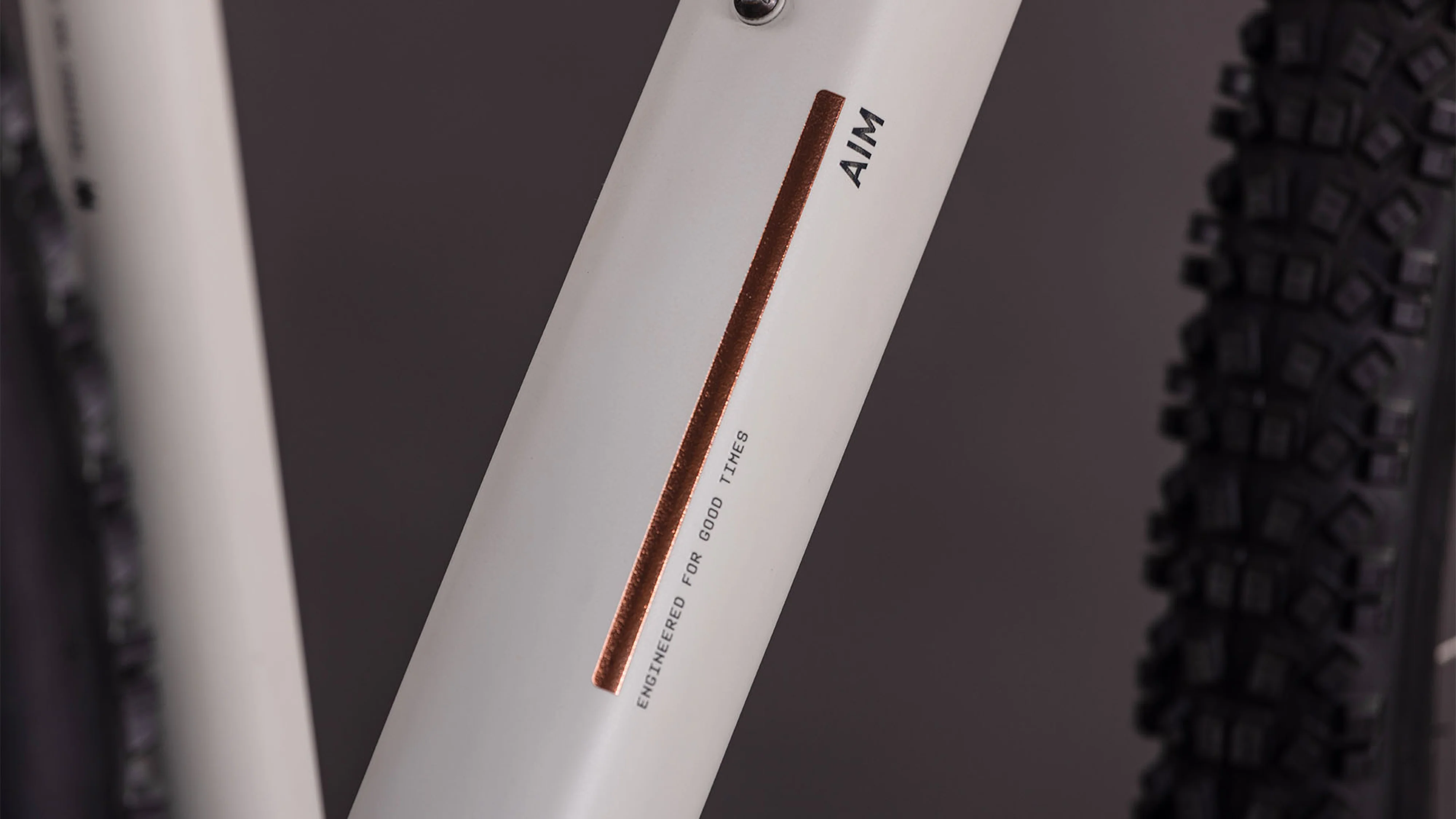 Cube Aim Pro greige´n´titan (2026) - Image 4
