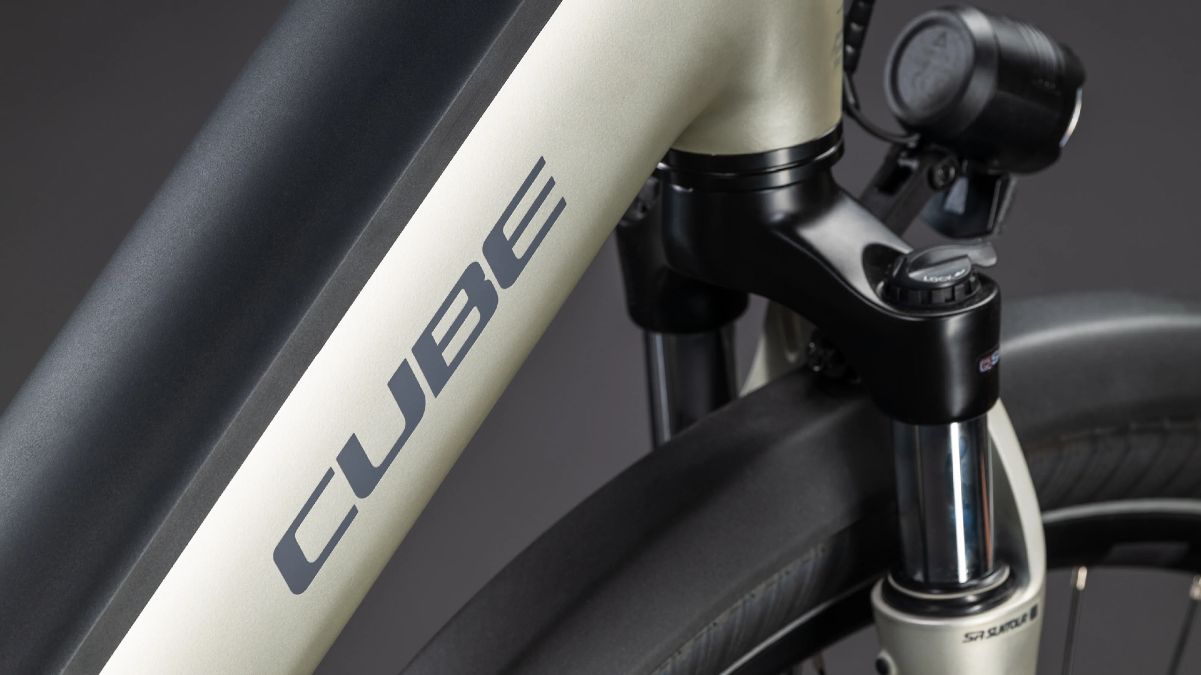 Cube Supreme RT Hybrid Comfort EXC 600 Easy Entry champagne´n´grey (2026) - Image 3