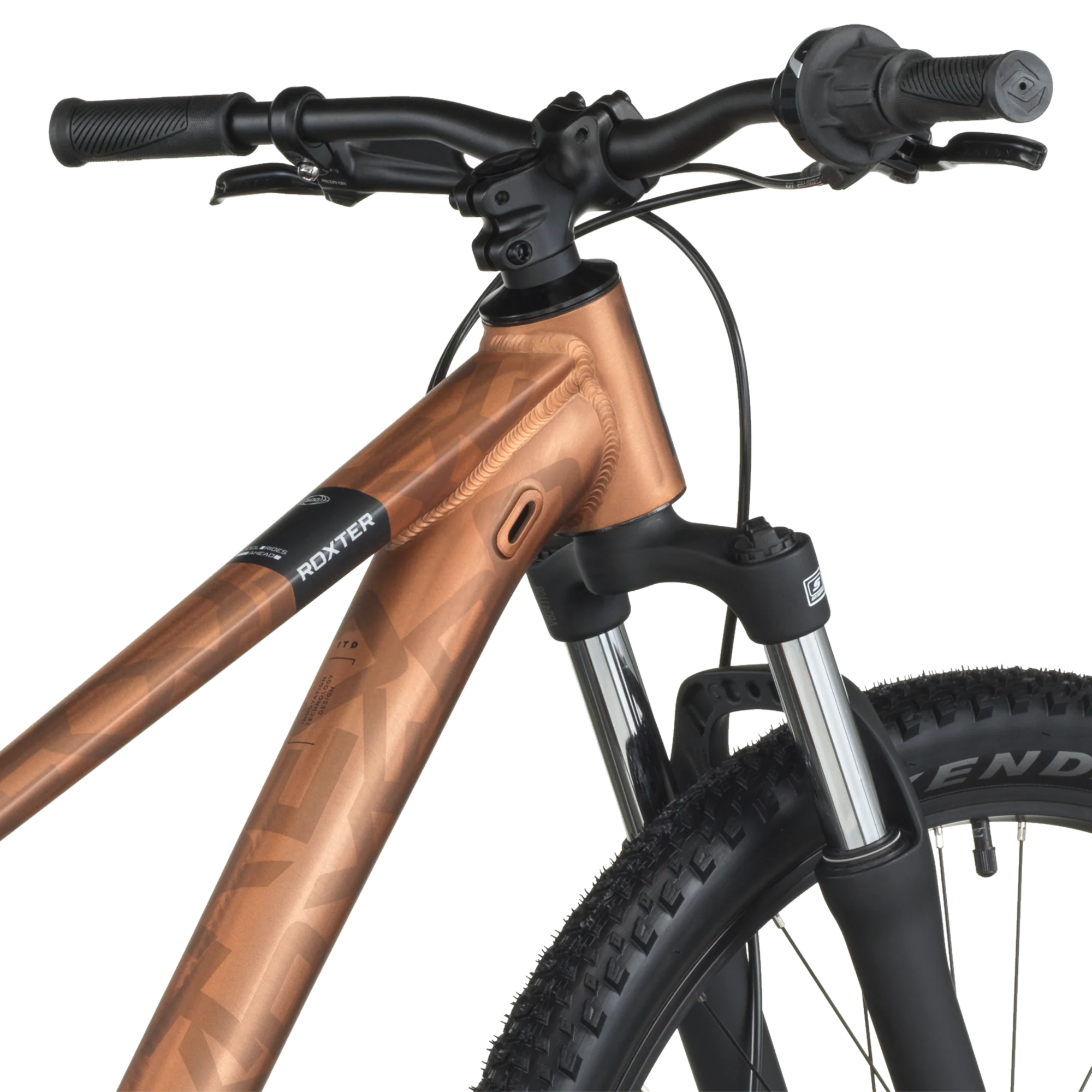 Scott Roxter 600 alloy brown (2026) - Image 7