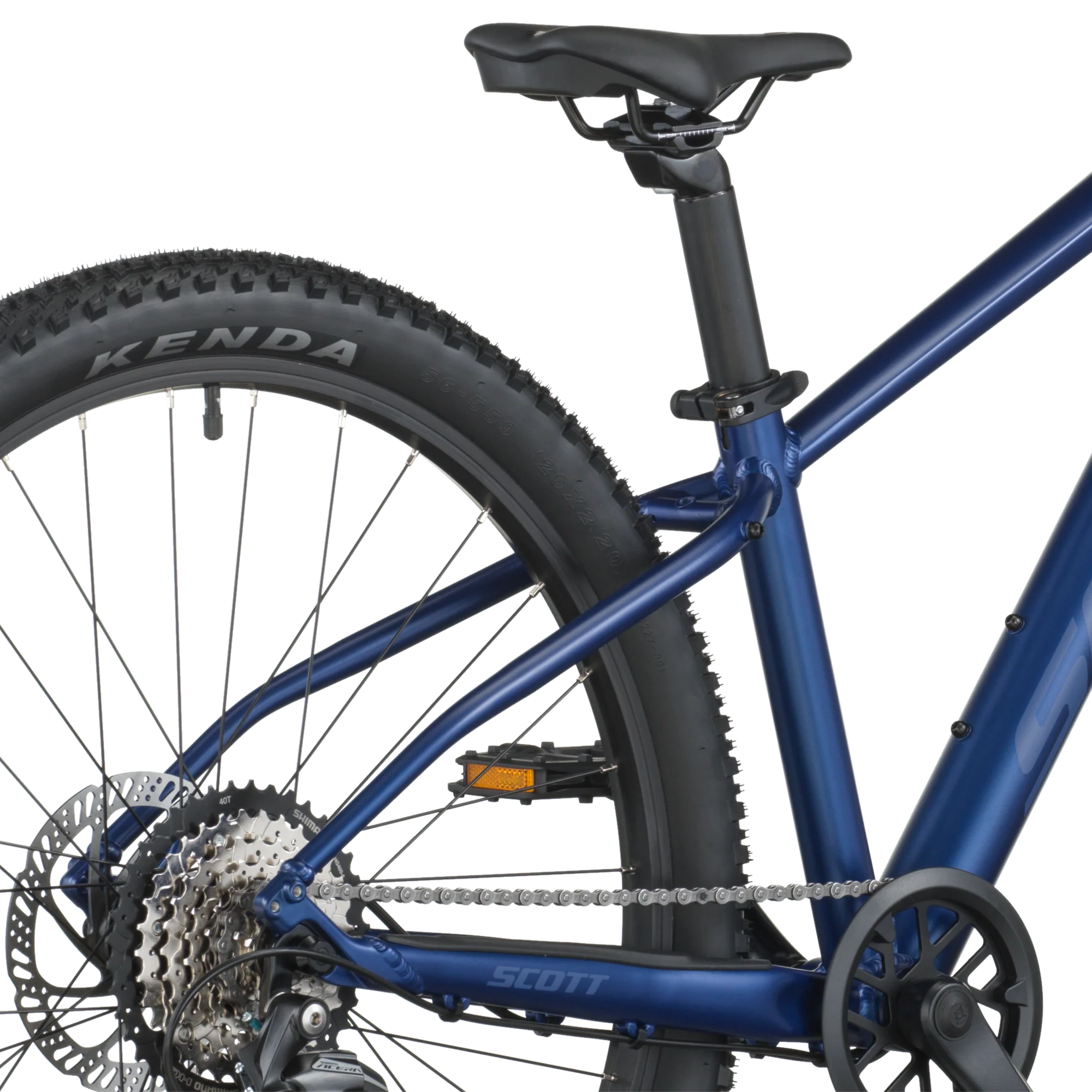 Scott Scale 600 clematis blue (2026) - Image 4