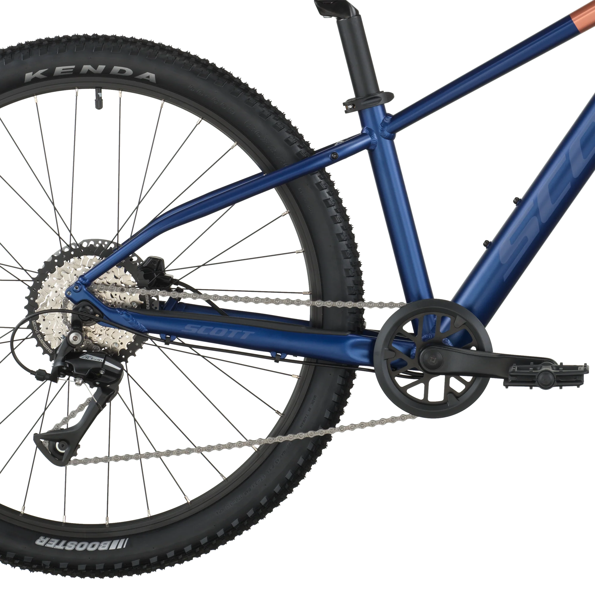 Scott Scale 600 clematis blue (2026) - Image 8